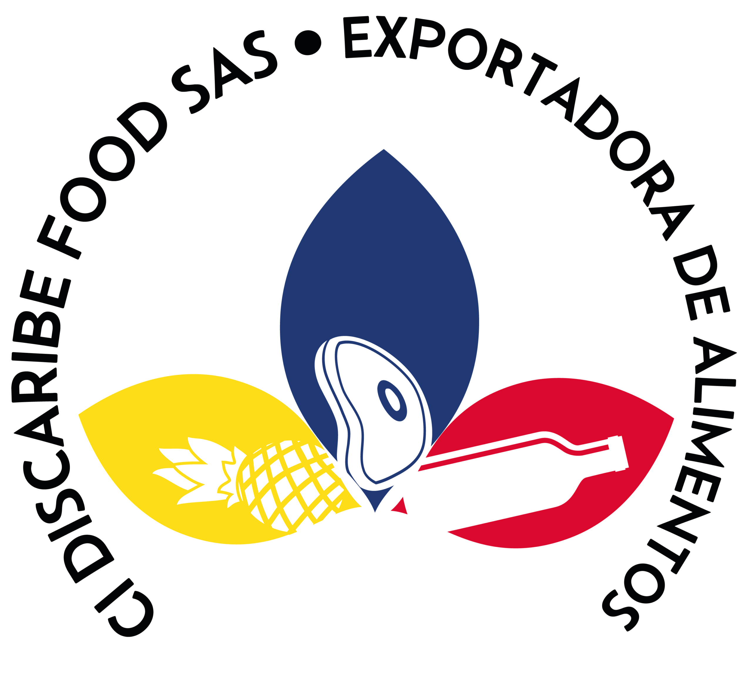 Discaribe Logo color